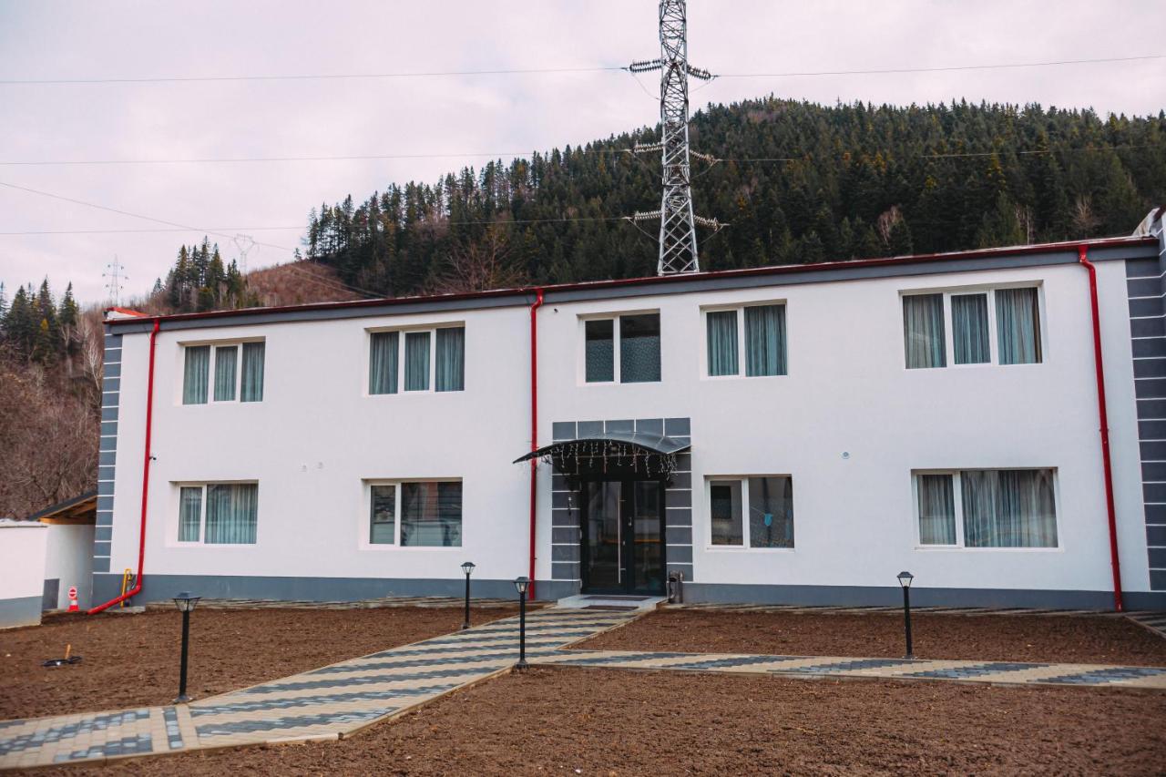 Motel Piatra Corbului ビカズ エクステリア 写真
